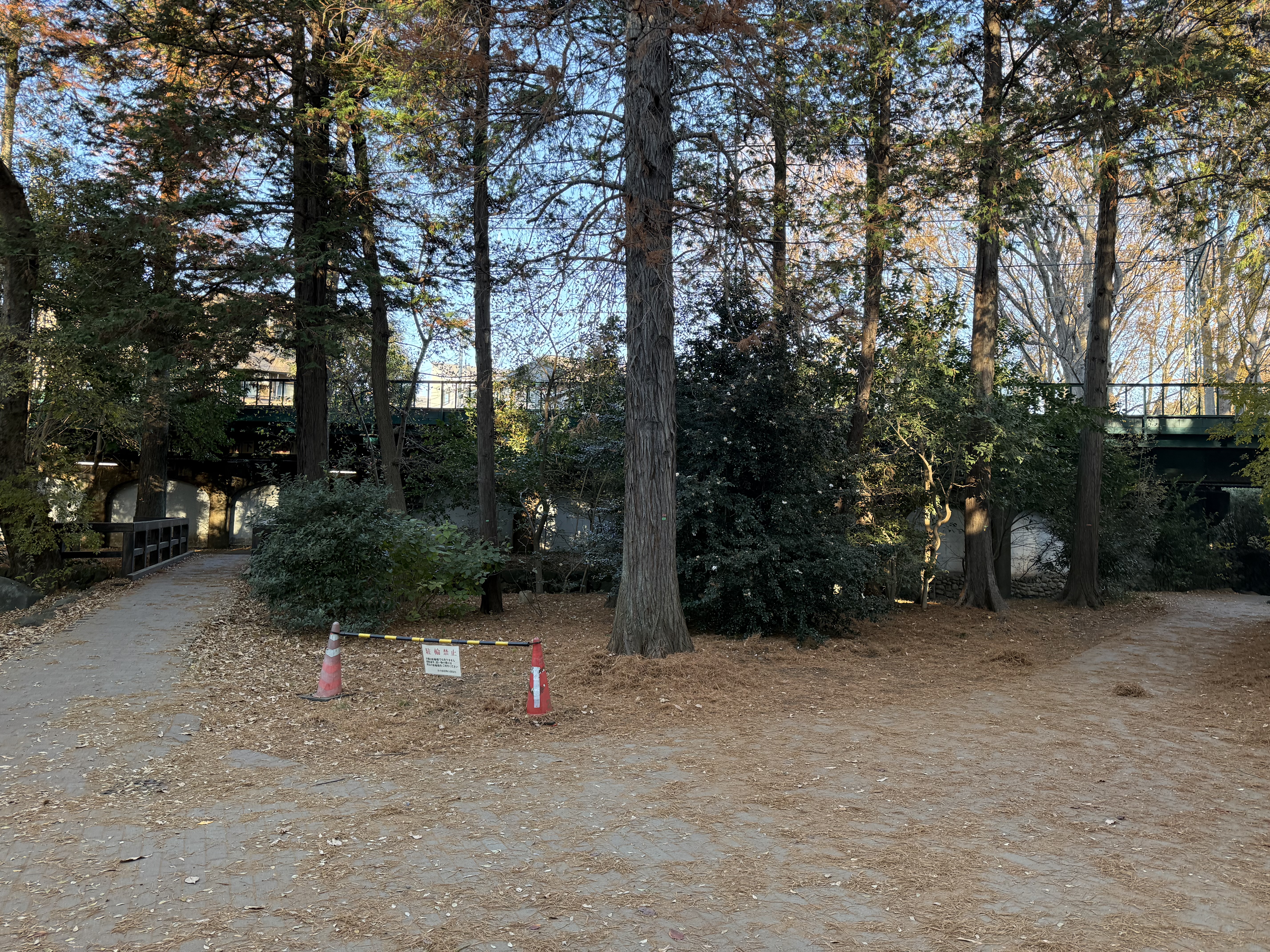Inokashira Park