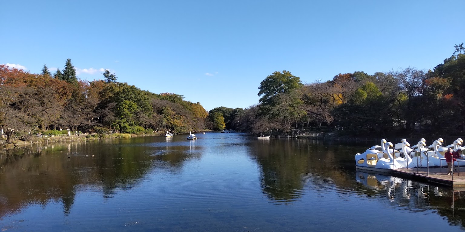 Inokashira Park