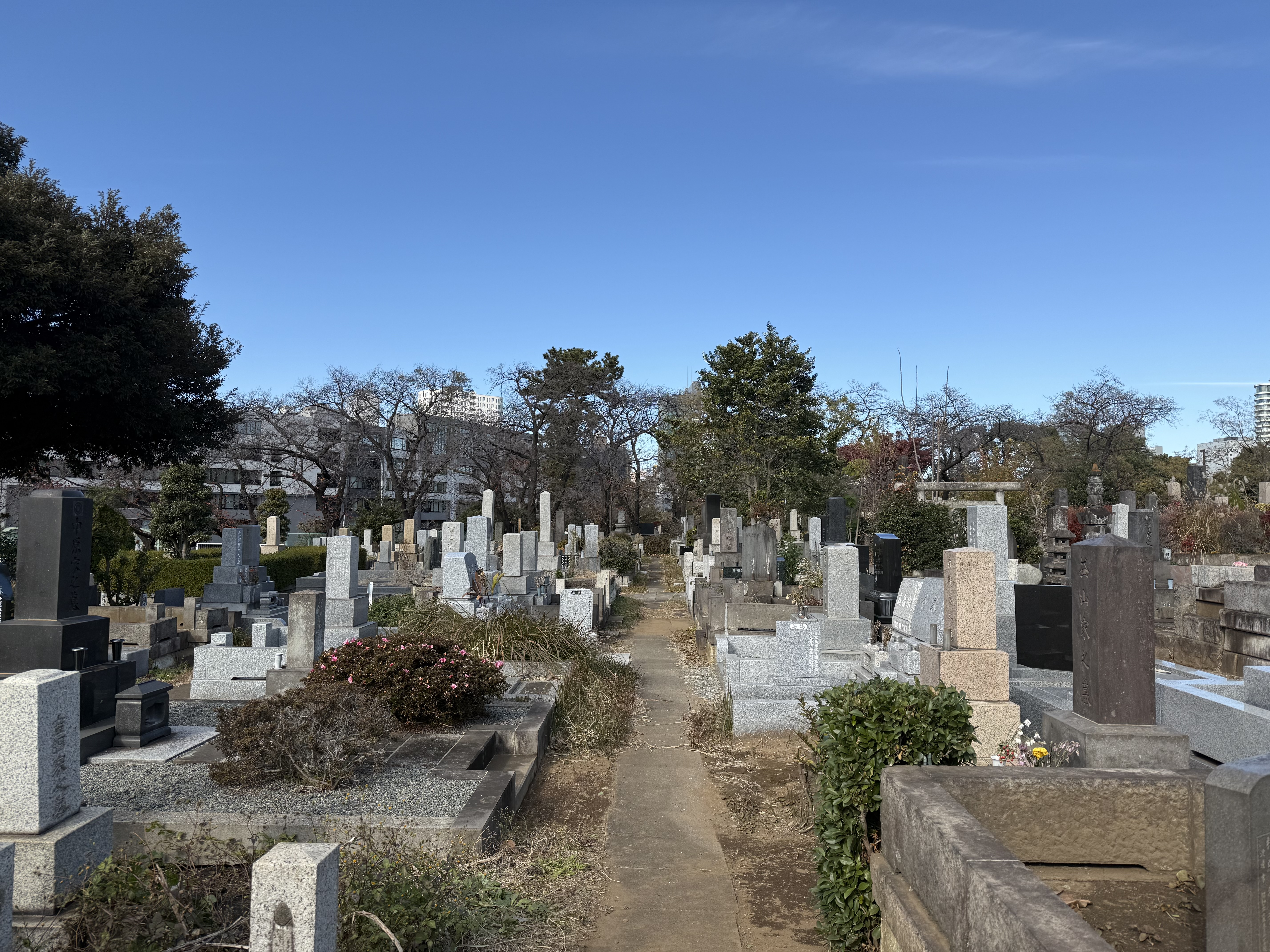 Aoyama Cemetery landscape
