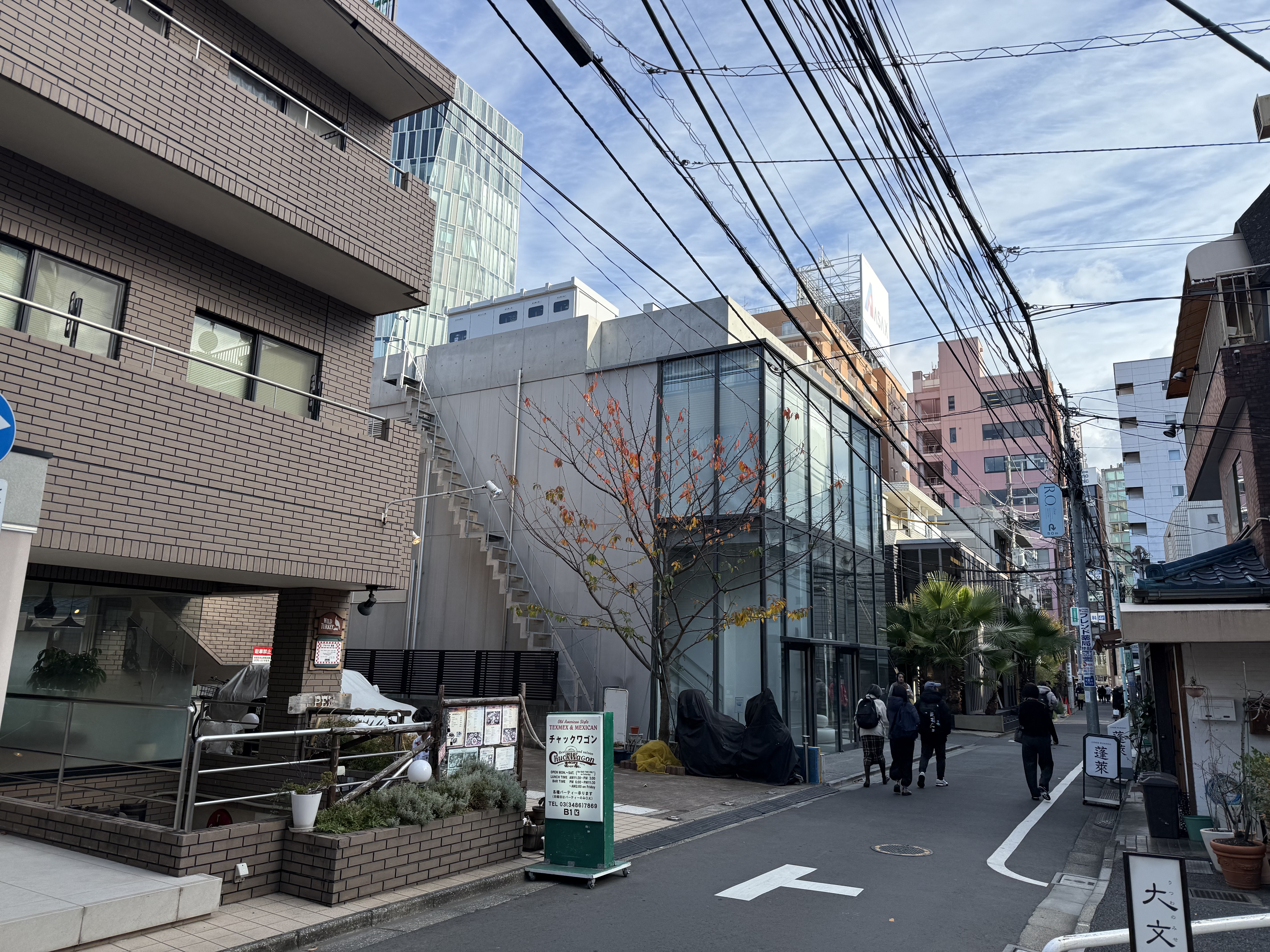Aoyama city view
