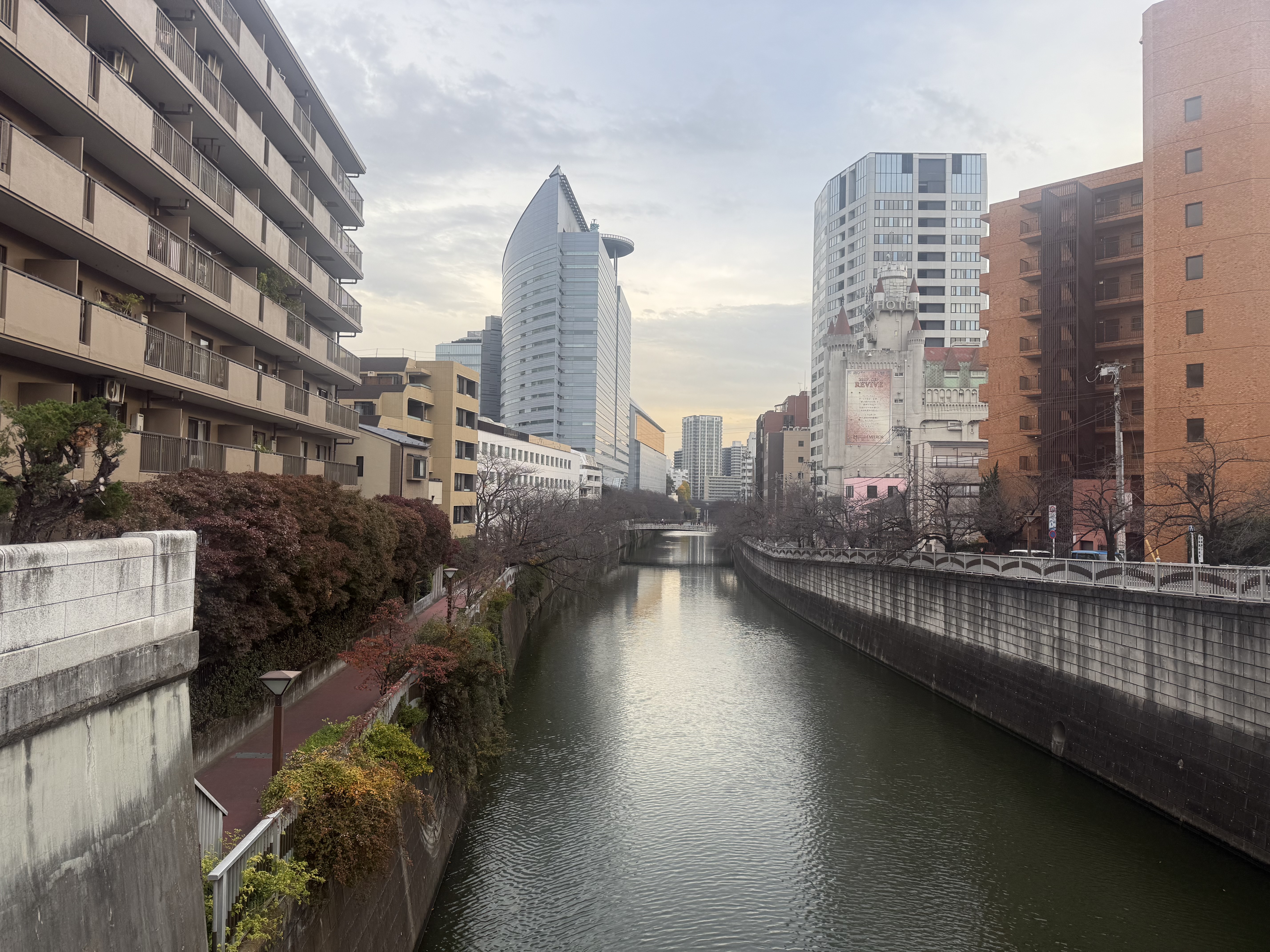 View near Meguro Station