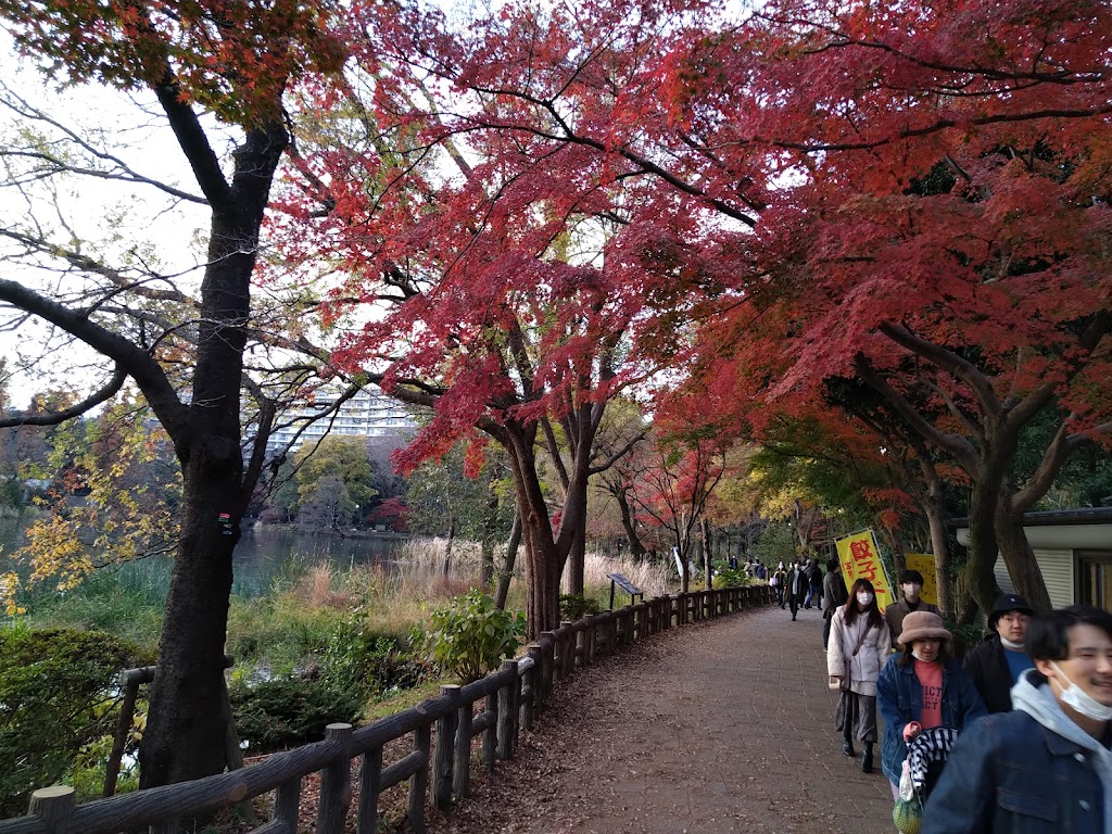 Inokashira Park