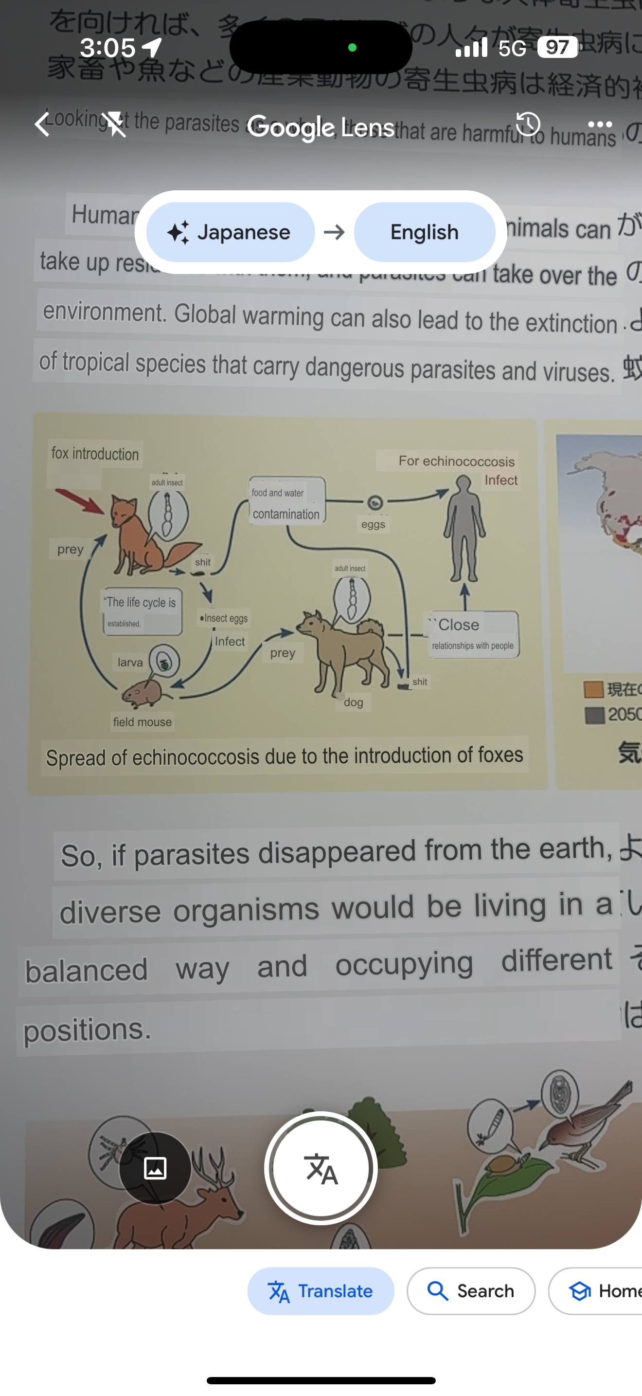 Parasites