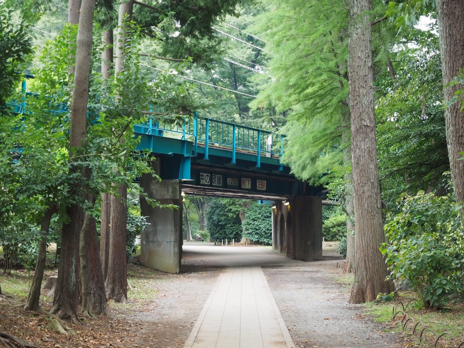 Inokashira Park